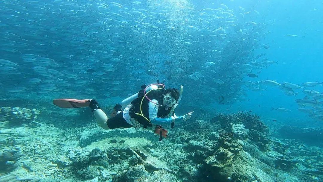 一顿浪漫晚餐
